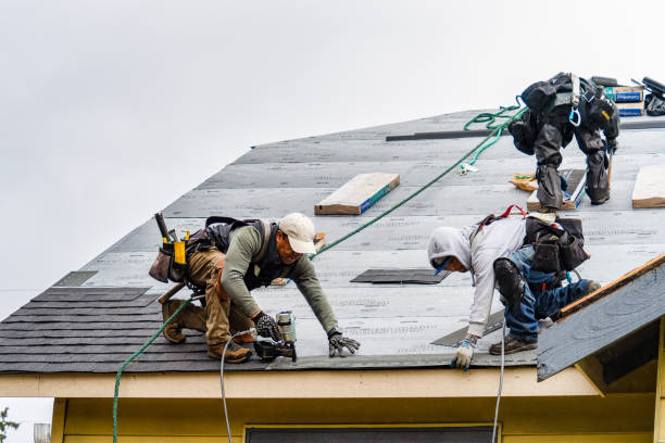 Professional Roof Inspection technician working in Boxford, MA